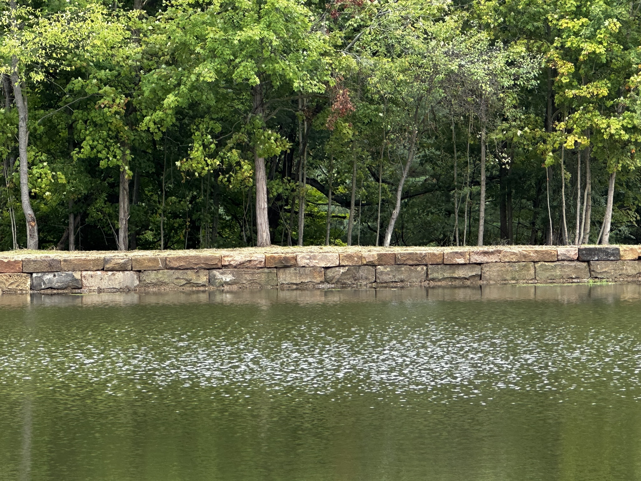 barnstone (5) Big Oak Reclaimed|Design and Build